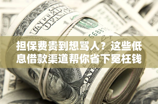 济南担保费贵到想骂人？这些低息借款渠道帮你省下冤枉钱
