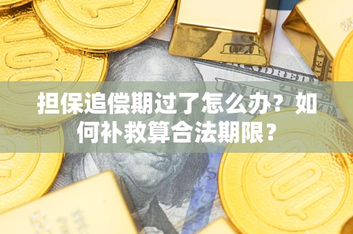 济南担保追偿期过了怎么办？如何补救算合法期限？