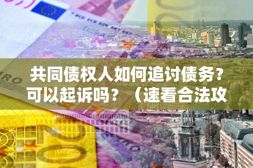 济南共同债权人如何追讨债务？可以起诉吗？（速看合法攻略）