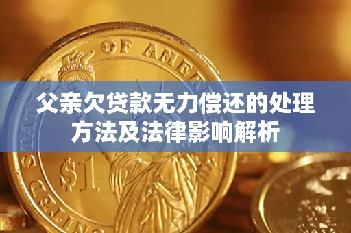 济南父亲欠贷款无力偿还的处理方法及法律影响解析